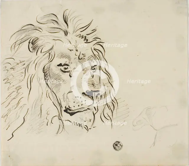 Lion's Head, n.d. Creator: Sawrey Gilpin.