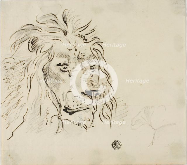 Lion's Head, n.d. Creator: Sawrey Gilpin.