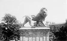 Lion sculpture on the Maiwand memorial in Forbury Gardens, Reading, Berkshire, c1860-c1922. Creator: Henry Taunt