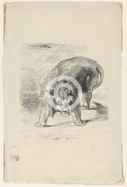 Lion Standing, 1833., 1833. Creator: Eugene Delacroix.