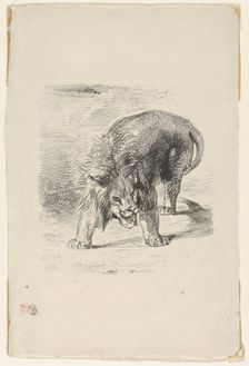 Lion Standing, 1833., 1833. Creator: Eugene Delacroix