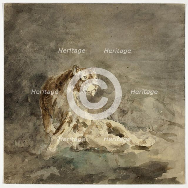 Lioness with her Family, n.d. Creator: Sawrey Gilpin.