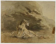 Lioness and Cubs, n.d. Creator: Sawrey Gilpin