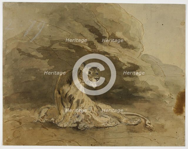 Lioness and Cubs, n.d. Creator: Sawrey Gilpin.