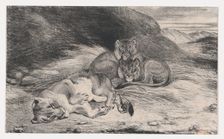 Lioness and Cubs, possibly 1832. Creator: Antoine-Louis Barye