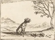 Lioness Mourning her Cub. Creator: Jacques Callot