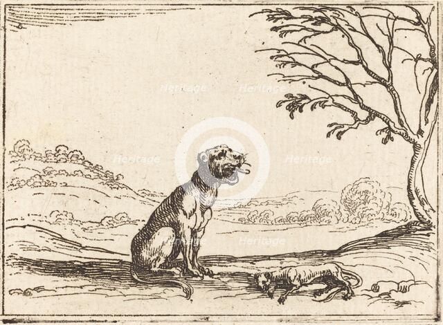 Lioness Mourning her Cub. Creator: Jacques Callot.