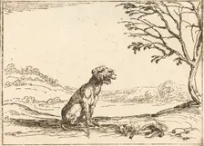 Lioness Mourning her Cub. Creator: Jacques Callot