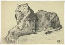 Lioness, n.d. Creator: Edwin Henry Landseer