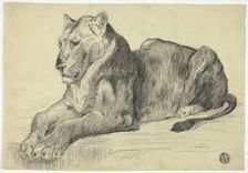 Lioness, n.d. Creator: Edwin Henry Landseer