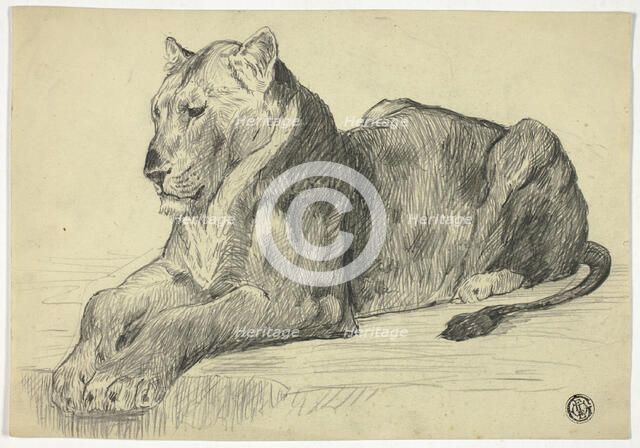 Lioness, n.d. Creator: Edwin Henry Landseer.