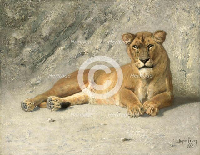 Lioness Resting, 1885. Creator: Jan van Essen.