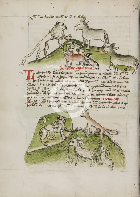 Lions and a Donkey with Other Animals: A Lion in his Den and a Fox..., third quarter of 15th cent. Creator: Unknown.