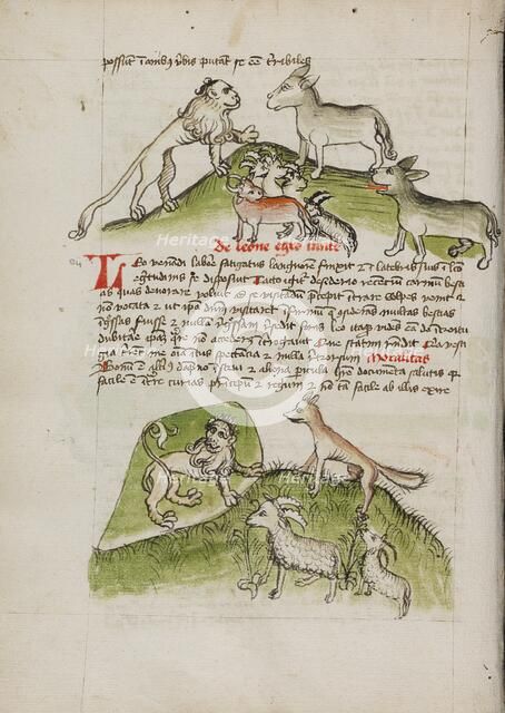 Lions and a Donkey with Other Animals: A Lion in his Den and a Fox..., third quarter of 15th cent. Creator: Unknown.
