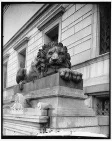 Lions at Corcoran Art Gallery, between 1910 and 1920. Creator: Harris & Ewing