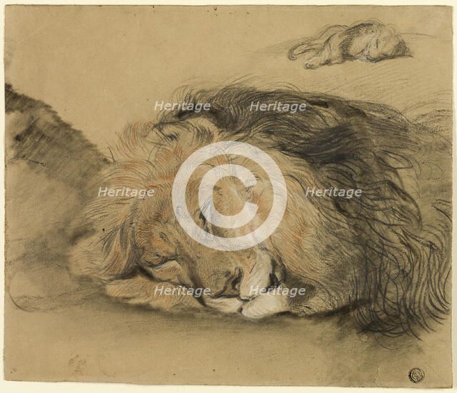 Lion's Head and Sketch of a Lion, n.d. Creator: Charles Edme Saint-Marcel-Cabin.