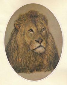 Lion's Head c1896. Artist: Frank Paton