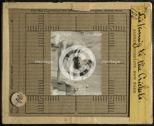 Listening to the Crickets, c. 1900. Creator: Alfred Stieglitz.