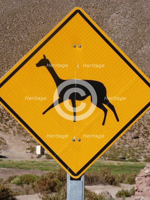 Llama warning road sign in Chile 2019. Creator: Unknown.
