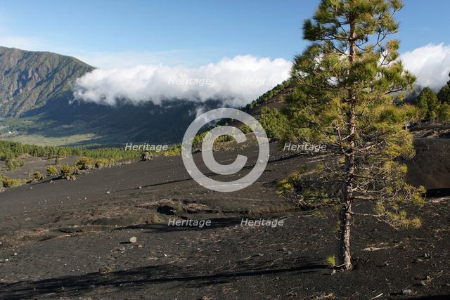 Llano del Jable, La Palma, Canary Islands, Spain, 2009.  Creator: Peter Thompson.