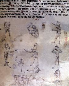 Llibre vermell (Red Book). Manuscript No. 1. Fol. 69, Latin text, there is a series of human fig…