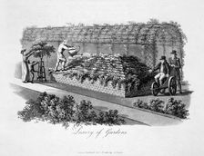 Luxury of Gardens 1816. Artist: Humphry Repton