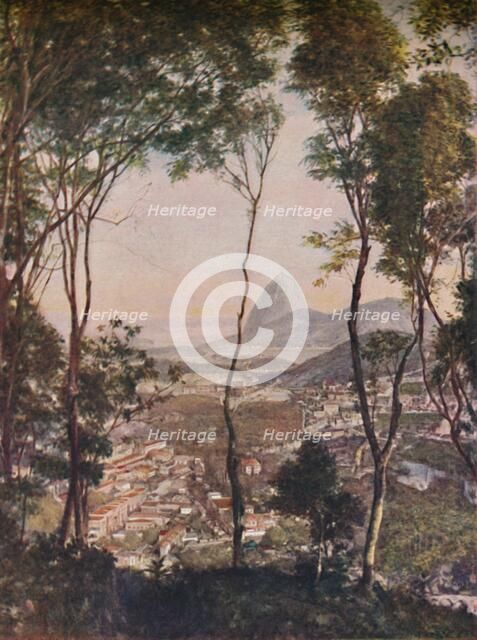 'Luxuriant woods on the hill of Santa Thereza looking down upon the roofs of Lapa', c1935. Artist: Unknown.