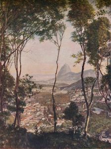 Luxuriant woods on the hill of Santa Thereza looking down upon the roofs of Lapa c1935