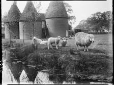 Luckhurst, Lower Road, Stone-cum-Ebony, Ashford, Kent, 1926. Creator: Katherine Jean Macfee