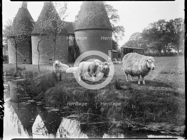 Luckhurst, Lower Road, Stone-cum-Ebony, Ashford, Kent, 1926. Creator: Katherine Jean Macfee.