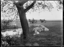 Luckhurst, Lower Road, Stone-cum-Ebony, Ashford, Kent, 1926. Creator: Katherine Jean Macfee