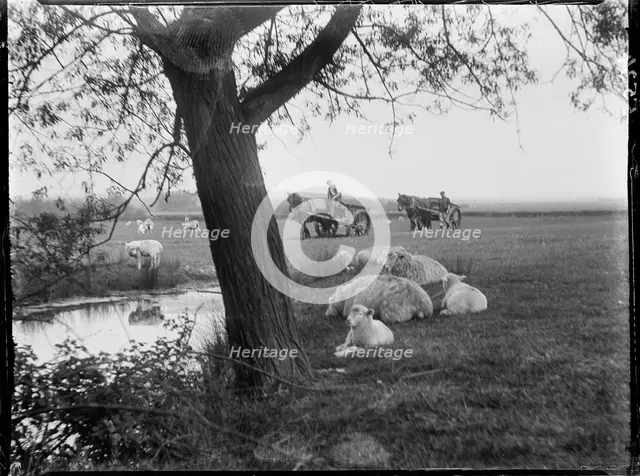Luckhurst, Lower Road, Stone-cum-Ebony, Ashford, Kent, 1926. Creator: Katherine Jean Macfee.