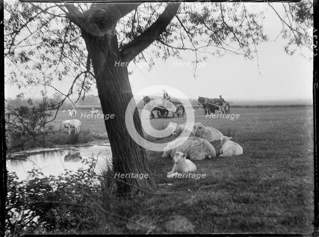 Luckhurst, Lower Road, Stone-cum-Ebony, Ashford, Kent, 1926. Creator: Katherine Jean Macfee.