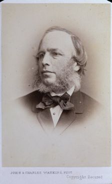 Lumb Stocks R.A., c1857. Creator: John & Charles Watkins