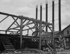 Lumber mill being dismantled at Careyville, Florida, 1937. Creator: Dorothea Lange