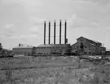 Lumber mill being dismantled, Careyville, Florida, 1937. Creator: Dorothea Lange