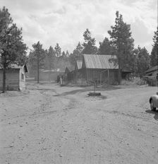 Lumber mill worker's house, Keno, Klamath County, Oregon, 1939. Creator: Dorothea Lange