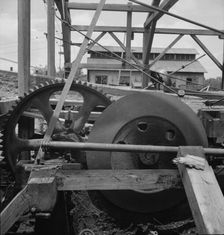 Lumber mill which is being dismantled, Careyville, Florida, 1937. Creator: Dorothea Lange