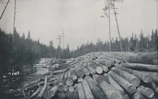Lumbering 1924