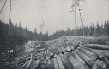Lumbering 1924