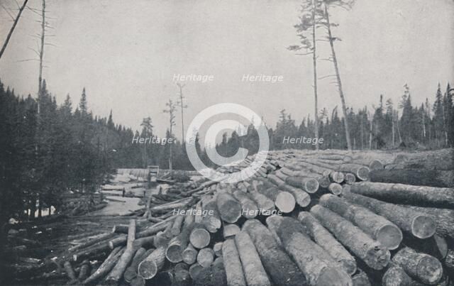 'Lumbering', 1924. Artist: Unknown.