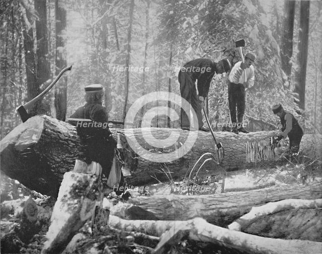 'Lumbering on the Ottawa River, Canada', c1897. Creator: Unknown.