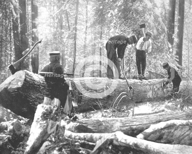 Lumbering on the Ottawa River, Canada, c1900.  Creator: Unknown.