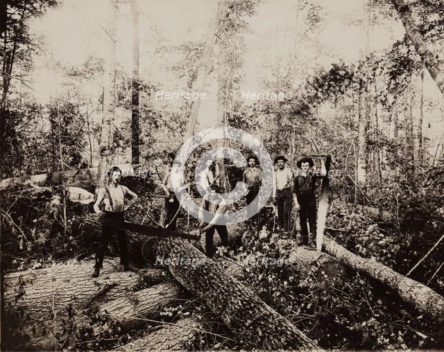 Lumbering Days in Ludington, Michigan, 1890. Creator: H. J. Hansen.