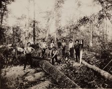 Lumbering Days in Ludington, Michigan, 1890. Creator: H. J. Hansen