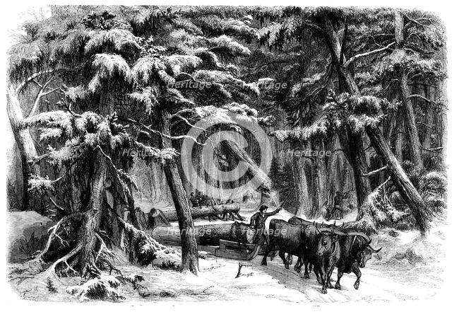 Lumbering in New Brunswick - Lumbermen at Work in the Forest, 1858. Creator: Unknown.