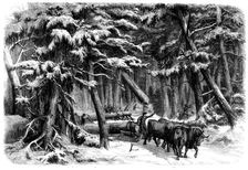 Lumbering in New Brunswick - Lumbermen at Work in the Forest, 1858. Creator: Unknown