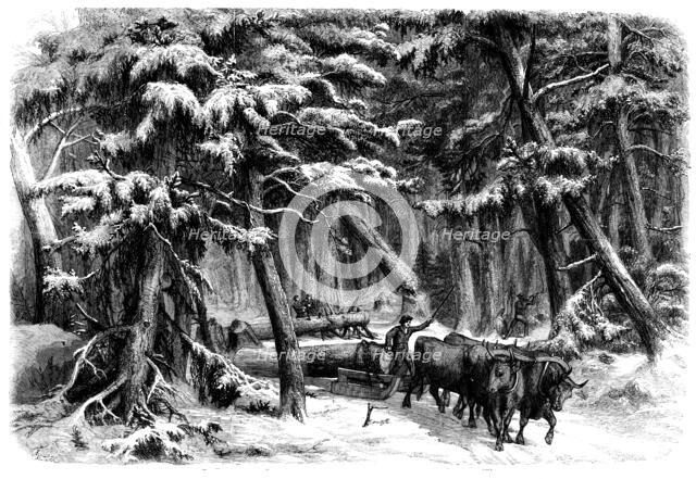 Lumbering in New Brunswick - Lumbermen at Work in the Forest, 1858. Creator: Unknown.