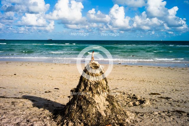 Lummus Park, Miami Beach, Miami, FL. Creator: Chris Suspect.