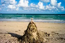 Lummus Park, Miami Beach, Miami, FL. Creator: Chris Suspect